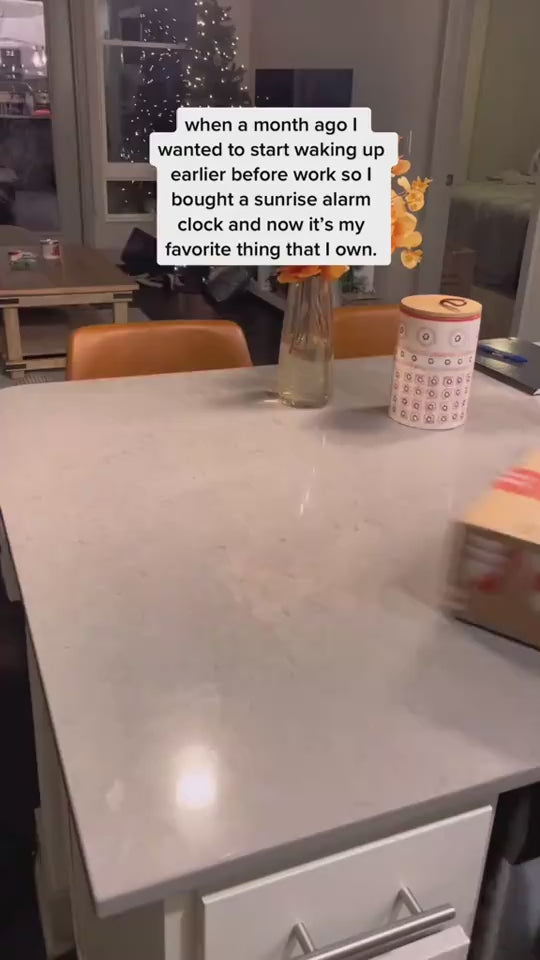 1.mp4